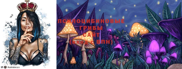 ALPHA PVP Медногорск