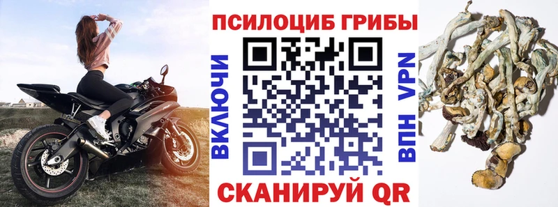 купить закладку  Минеральные Воды  Псилоцибиновые грибы MAGIC MUSHROOMS 