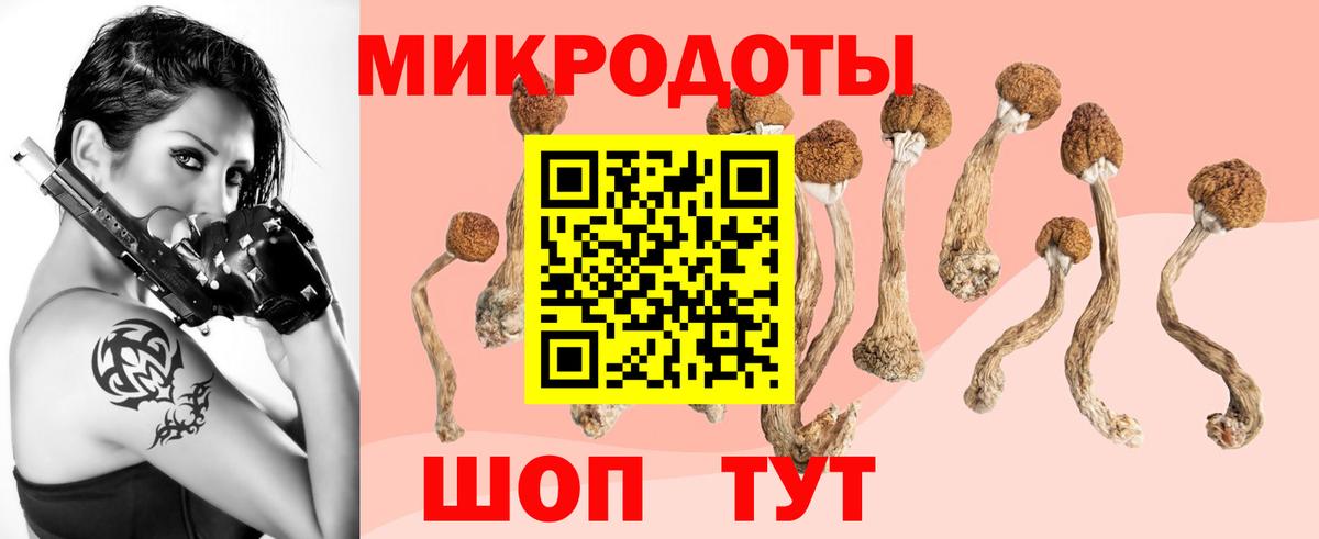 Псилоцибиновые грибы мухоморы Минеральные Воды