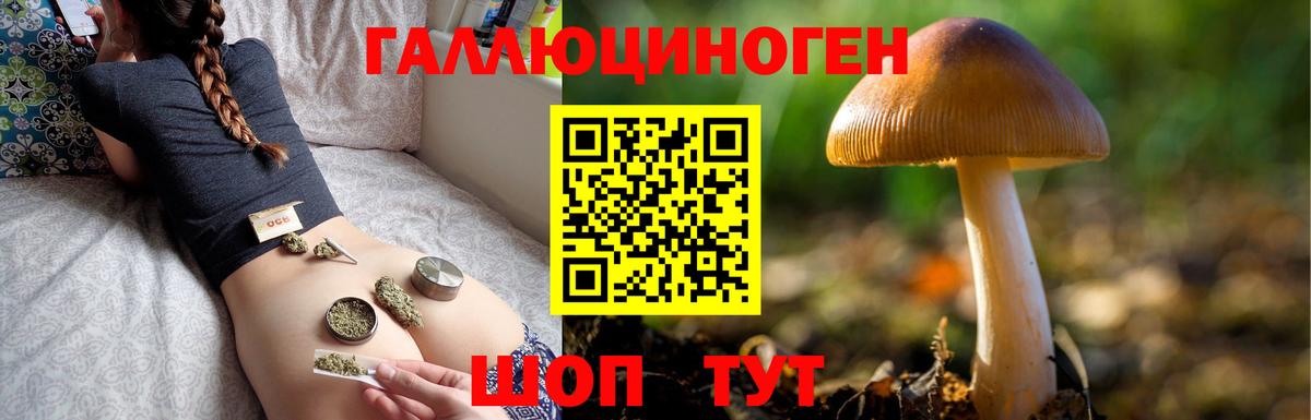 Минеральные Воды  Псилоцибиновые грибы прущие грибы  Вход с VPN  магазин    Псилоцибиновые грибы Cubensis 