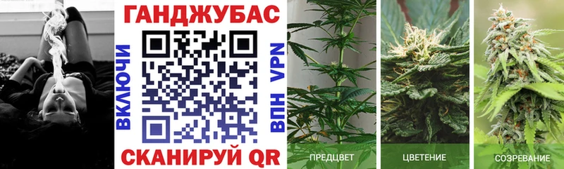 Канабис конопля  Минеральные Воды 
